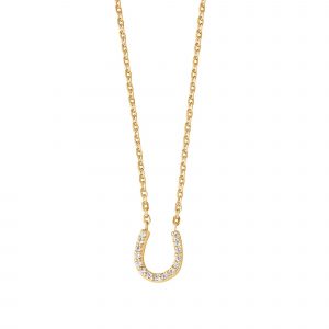 DOOSTI Damen Collier mit Anhänger Hufeisen 333/- Gelbgold