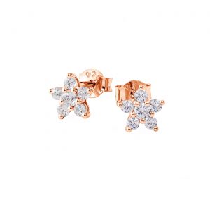 DOOSTI Zarte Ohrstecker Blume 925 Silber Rosegold vergoldet (Paar)