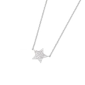 DOOSTI Zarte Halskette Stern 925 Silber rhodiniert