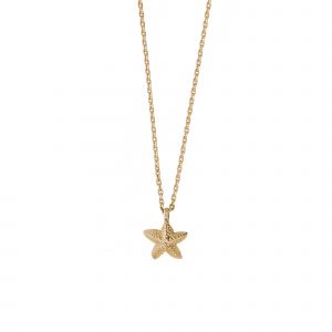 DOOSTI Damen Collier mit Anhänger Seestern 925 Silber Gelbgold vergoldet