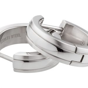 DOOSTI Creolen Edelstahl (Paar)