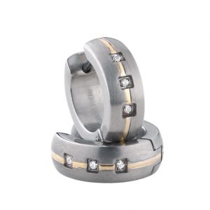 DOOSTI Creolen PRESENT BICOLOR Titan Paar